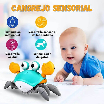 Crabby FunMotion - CANGREJO SENSORIAL INTERACTIVO